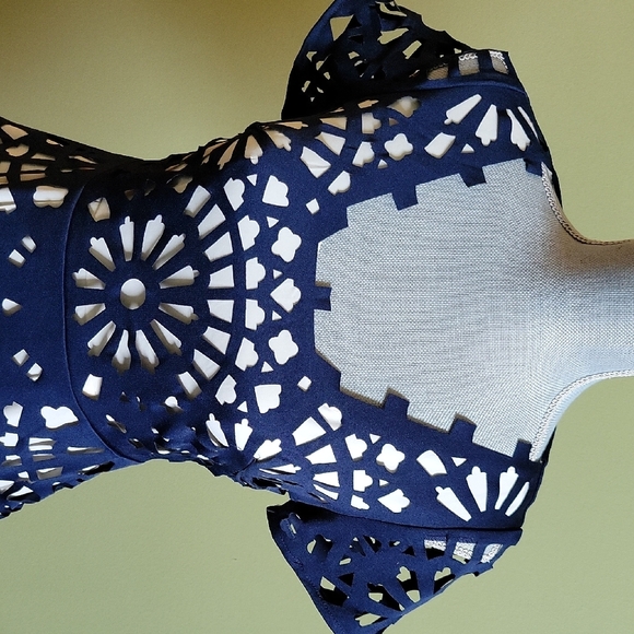 Anthropologie Gracia Blue Fit and Flare Mini Dress with Scoop Neck - Picture 6 of 11